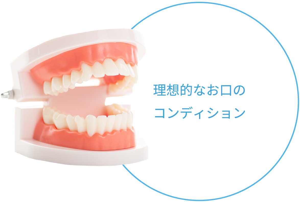 理想的なお口のコンディション