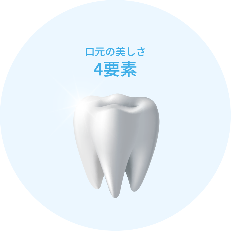 口元の美しさ4要素