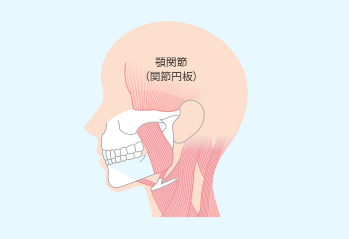 筋肉の使い方を診る