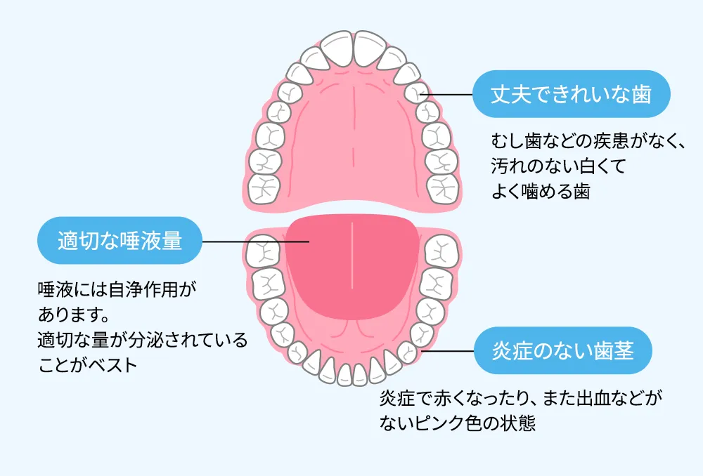 理想的なお口のコンディション清潔に保つことで疾患を防止する