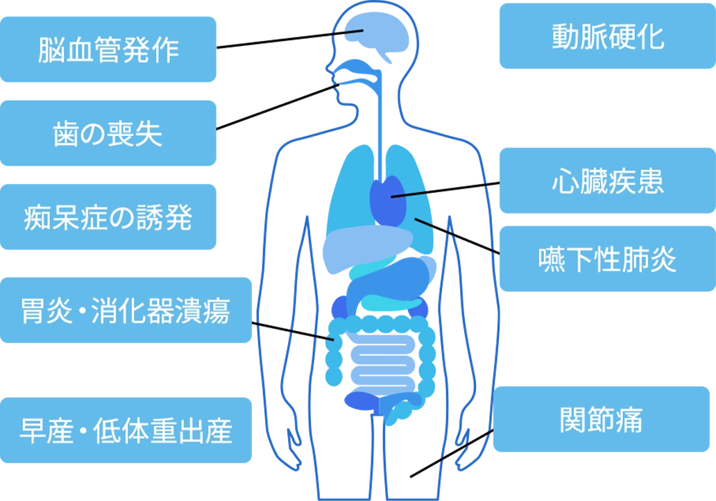 お口の健康は全身の健康にも関係する